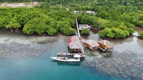 Seabug Terumbu Karang